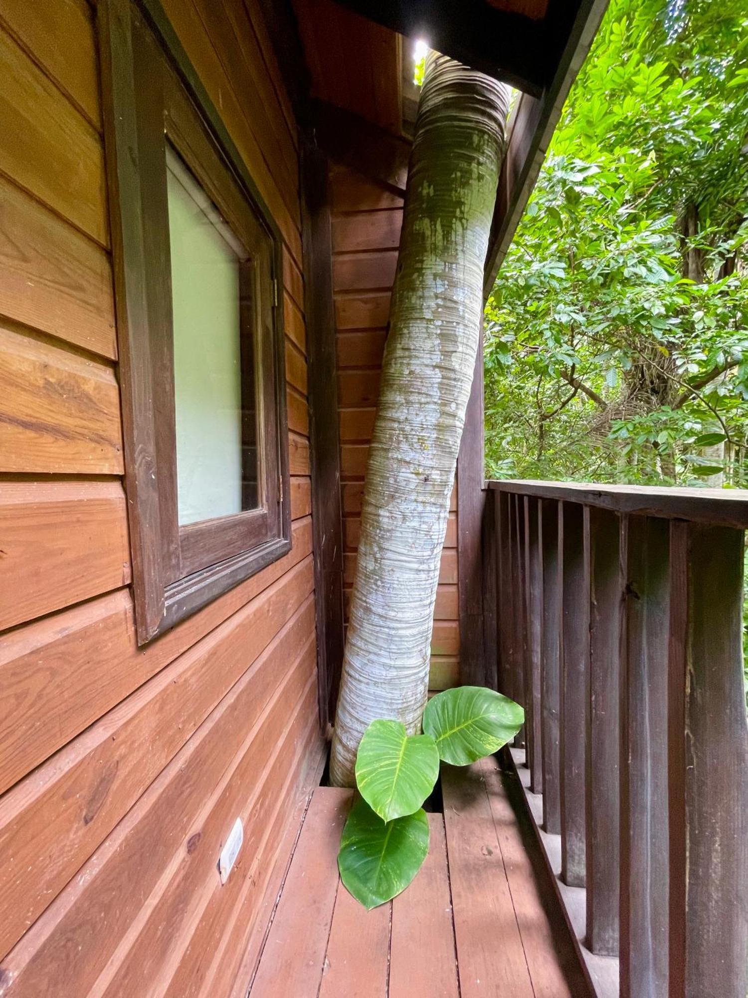 Platon Ecolodge Barahona Eksteriør billede